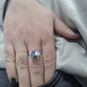 ANILLO de acero modelo ABUNDANCIA