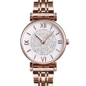 RELOJ MARCA BLAQUE ROSE / BQ-255RP